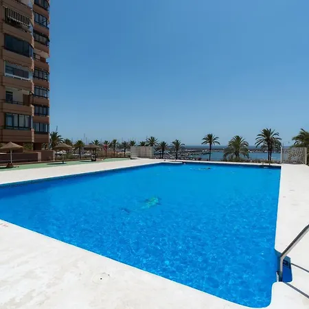 公寓 Sur Suites Palmeras 8
